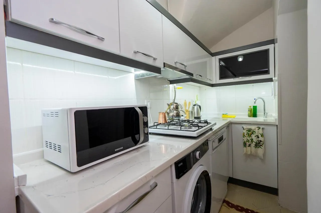 Blue Mosq- Three Storey Detached Villa Istanbul
